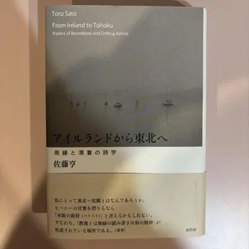 아일랜드에서 동북으로 : 주변과 표류의 시학
