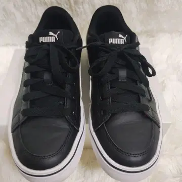 PUMA 푸마 V 코트 벌크 23cm