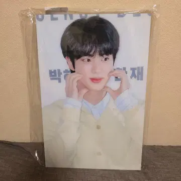 BTS 진  패널 액자