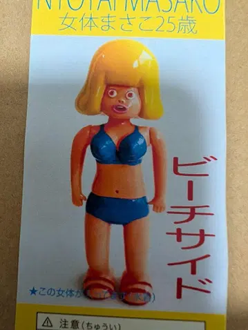 데하라 유키노리 여성 신체 액션 소프트비치 비치사이드 여성 신체 마사코
