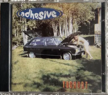 접착제 요거트 CD