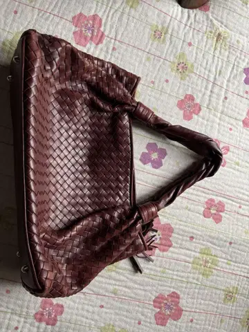 보레리 P. 메쉬 백