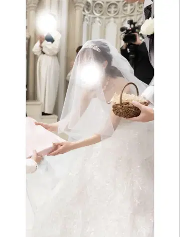 롱 베일 3m