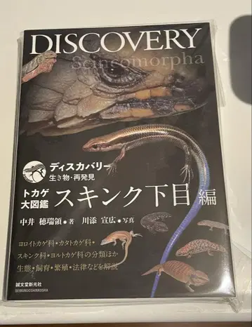 디스커버리 도마뱀 대도감 스킨크