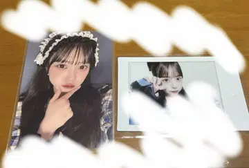 마스다 아야노 생일 기념 특별 이벤트: 빈고 체크 트레이딩 카드 세트