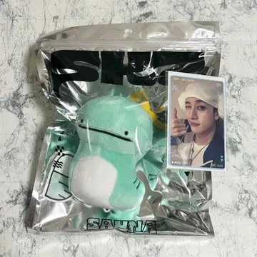 스트레이 키즈 스키즈 JYP 팝업 트레이딩 카드 멤버 프로필 방탄