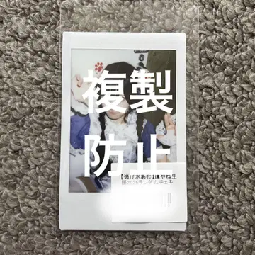 가격 인하 중 신기루 아뮤 란체키 큐루링 해봐 큐루시테 야네 생탄