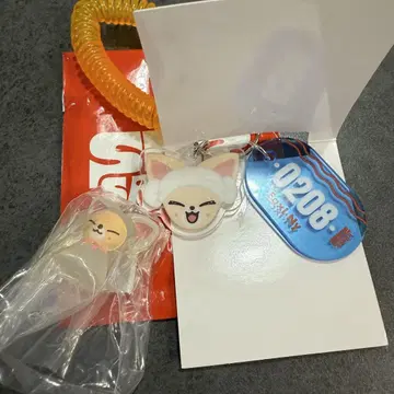 스트레이 키즈 사우나 키링 기념품 액세서리 포크시니