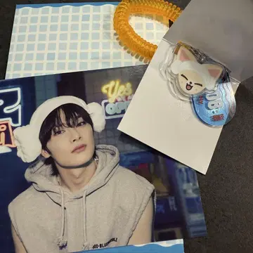 스트레이 키즈 사우나 키링 파피움 랜덤 트레이딩 카드 아이엔