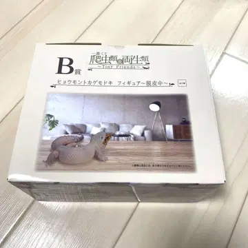 [가격 인하!] 제일복권 파충류 & 양서류 B상