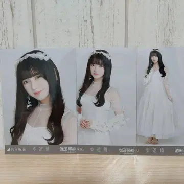 보도교 이케다 에이사 컴플리트