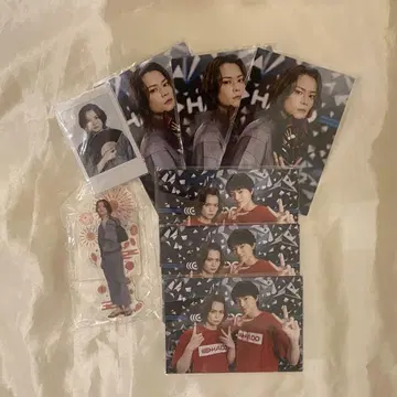 토야 나오타케 HADO 상품 종합 안내