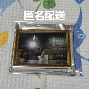 사쿠라자카46 승인욕구 랜덤 액자 마그넷 모리타 히카루