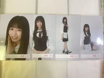 이나쿠마 히나 클래식 코디 브로마이드 컴프