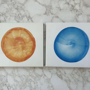 피쉬맨즈 우주 공중 베스트 오브 피쉬맨즈 fishmans cd
