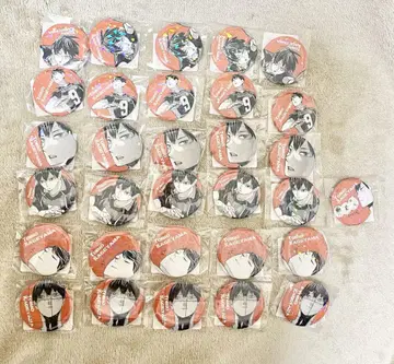 하이큐  카게야마 히로유키  올스타 캔 배지  31개