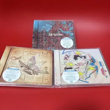 버터플라이 이펙트/터콰이즈/사라바