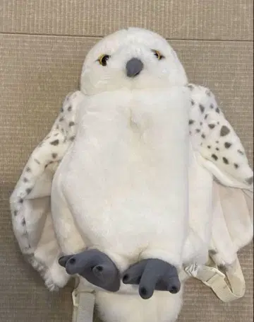 헤드위그 배낭