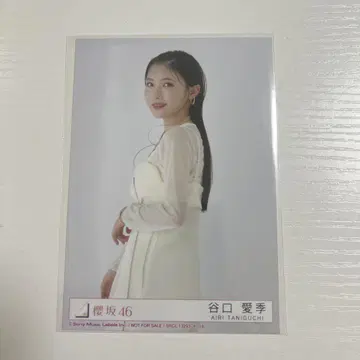 타니구치 아이키  addiction 수록 생사진