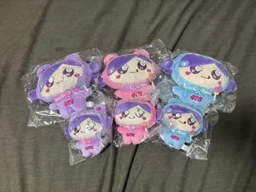 시나코 시나 곰 풀세트