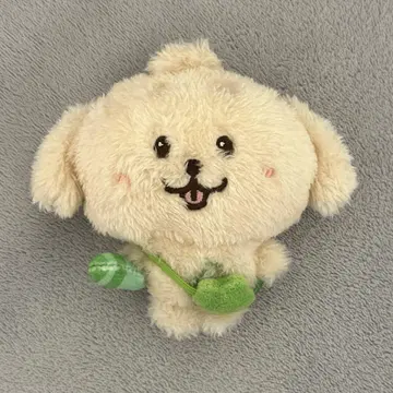nctwish 재희 덴트리버