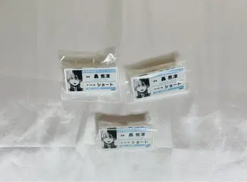 히로아카 토도로키 쇼토 명함 배지