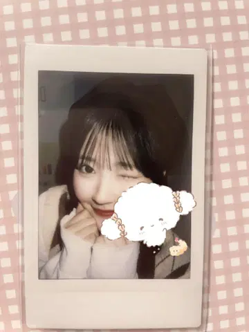 카와모토 쇼루 특별 팬미팅 체키 러브트레 의상