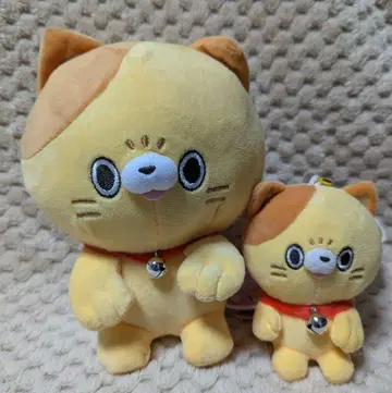 냥데레 인형 타마 세트