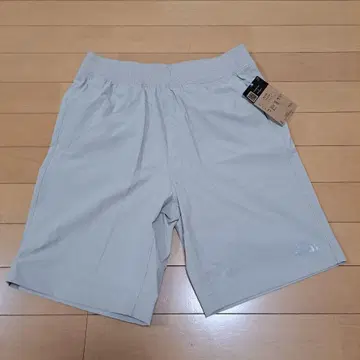더 노스페이스 쇼트 팬츠