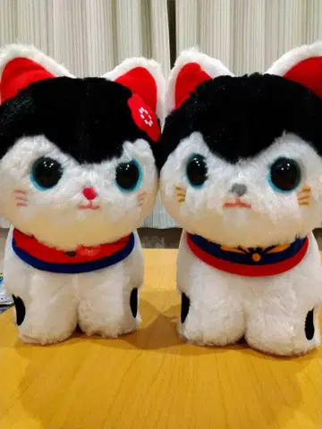 바늘로 만든 강아지 마로차마 BIG 인형 2개 세트