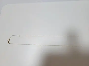 골드 체인