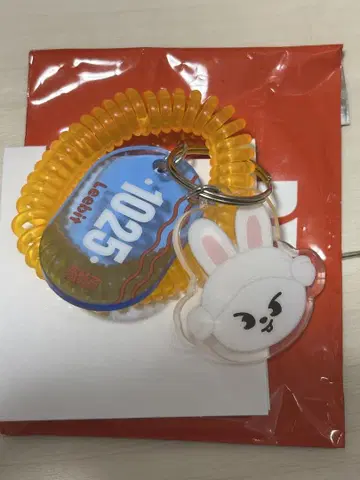 스트레이키즈 스키즈 사우나 JYP 리빗 랜덤 키링