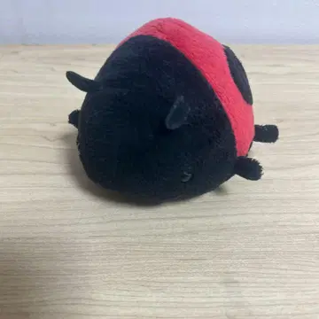 무당벌레 봉제 인형