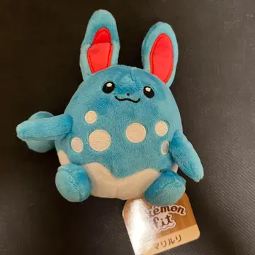 포켓몬 피트 마릴리