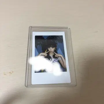 친필 사인 폴라로이드 사카모토 마시로
