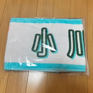 오가와 아야 2025 여름 전국 투어 머플러 타월