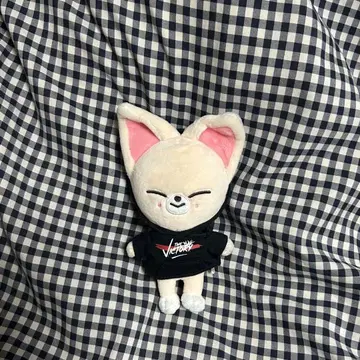 straykids 아이엔 I.N 봉제 인형