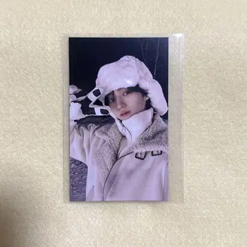 EBiDAN ICEx 이상향 트레이딩 카드 시가
