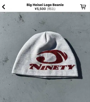 Big 헤이세이 Logo Beanie 그레이