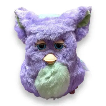 펑키 퍼비 퍼플 x 그린