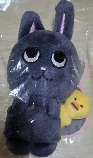 RIIZE 원빈 봉제 인형 발렌타인 10cm 인형 키링 MD
