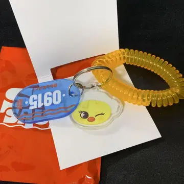 스트레이키즈 스키즈 사우나 키링 필릭스 포가리