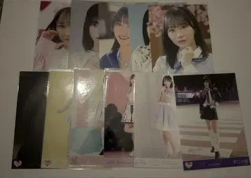 이코라브 노구치 이오리 생사진 세트 판매