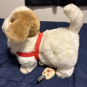 애견 로봇 테츠