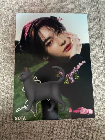 aoen 소우타 아오엔 소우타 패널 hmv 사인