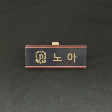 ENHYPEN 롯데월드 명찰 니키 노아