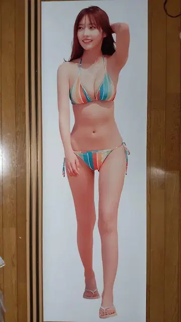 사노 히나코 실물 크기 포스터