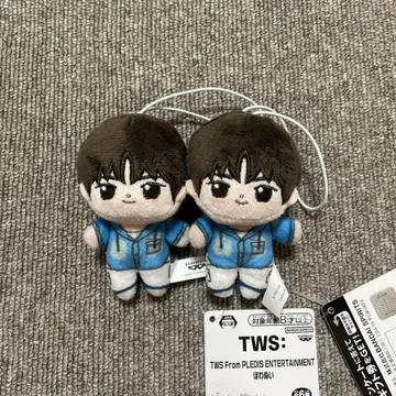 TWS 호와누이 경민 2세트