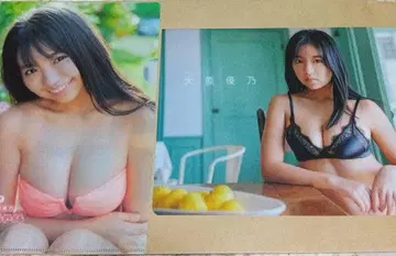 오하라 유노 클리어 파일 세트