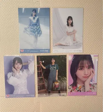 사사키 마이카 장미5송이 브로마이드